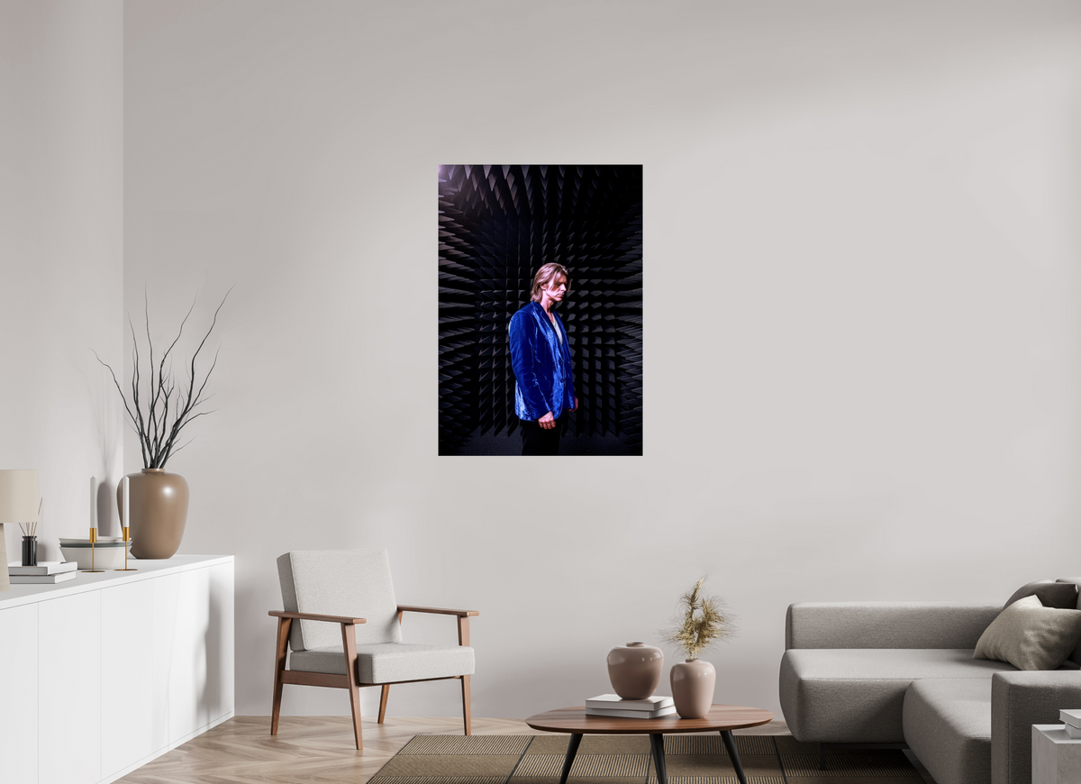 31 x 44.2″, WW ALUM David Bowie anechoic chamber