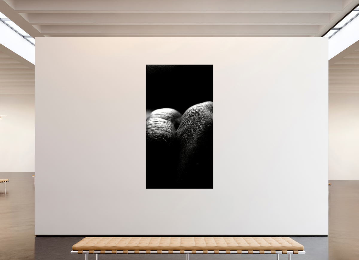 47 x 87.5″, Complete Roberto Rabanne, Lips, New York 2006