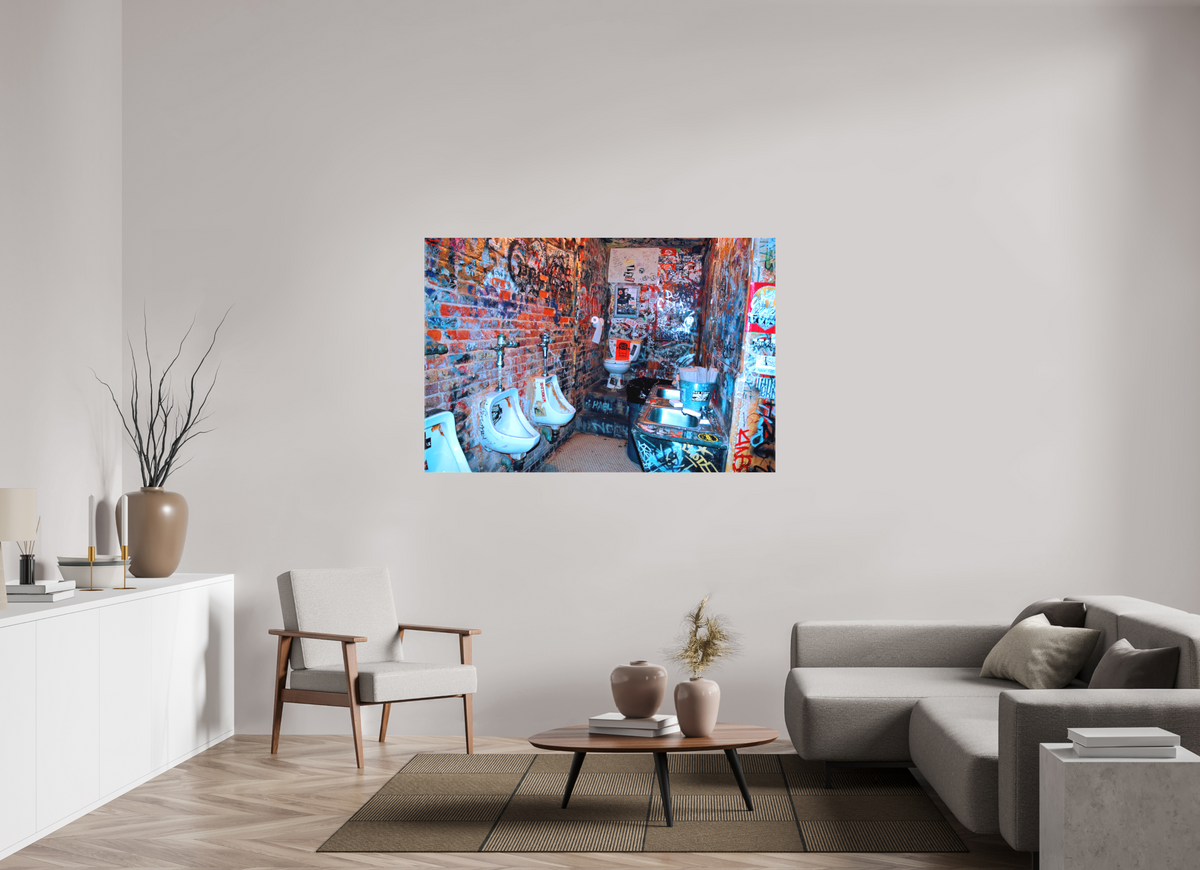 60 x 40″, WW CANVAS Roberto Rabanne, CBGB'S Toilet, New York 2006