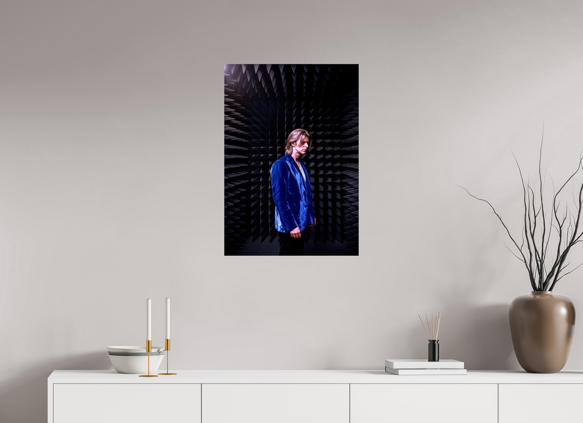 20 x 28.5″, WW ALUM David Bowie anechoic chamber