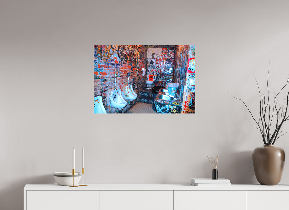 30 x 20″, WW CANVAS Roberto Rabanne, CBGB'S Toilet, New York 2006