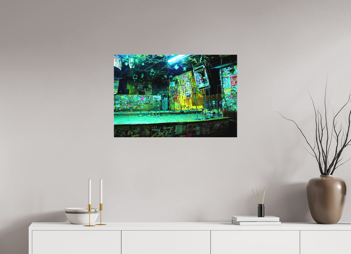 30 x 20″, WW CANVAS Roberto Rabanne, CBGB'S Stage, New York 2006