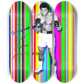 Ali, Las Vegas 1970